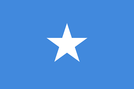 university of  Somalia