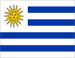 دانشگاه های کشور اروگوئه 